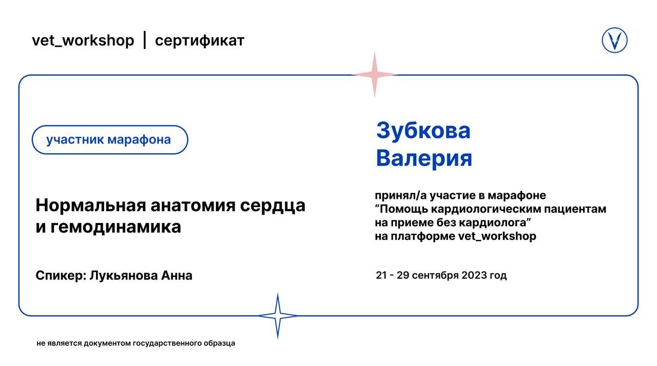 Документ или сертификат