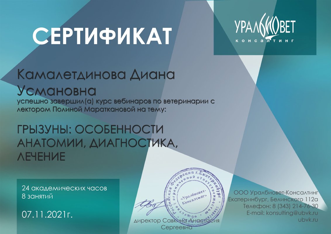 Документ или сертификат