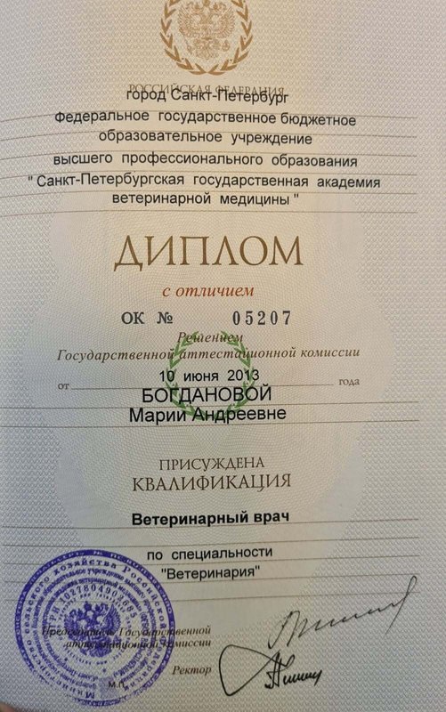 Документ или сертификат