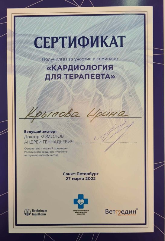 Документ или сертификат