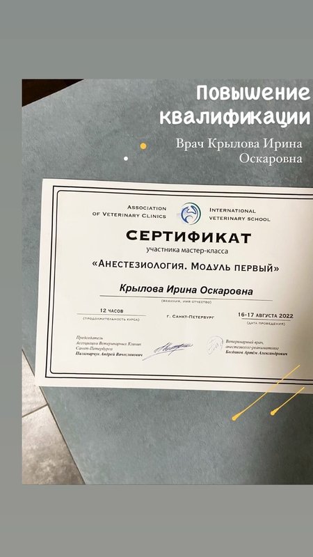 Документ или сертификат