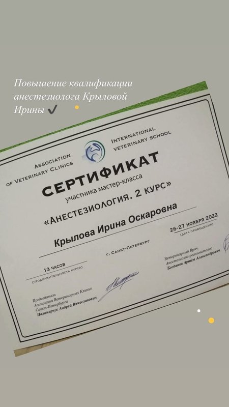 Документ или сертификат