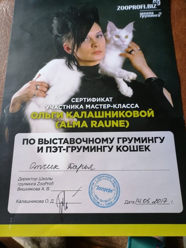 Документ или сертификат