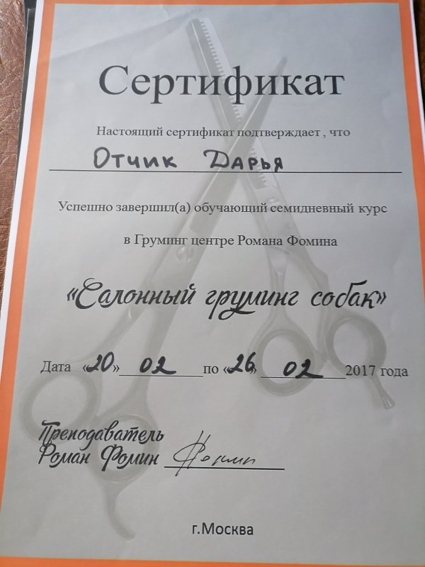 Документ или сертификат