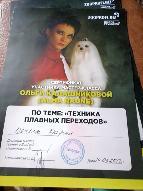 Документ или сертификат
