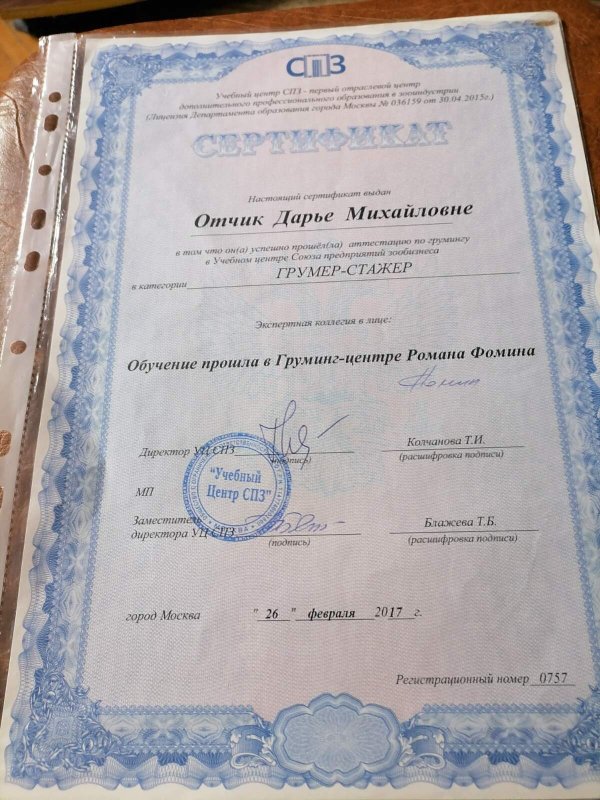 Документ или сертификат