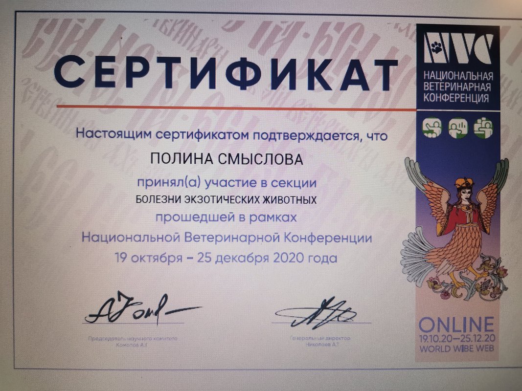 Документ или сертификат