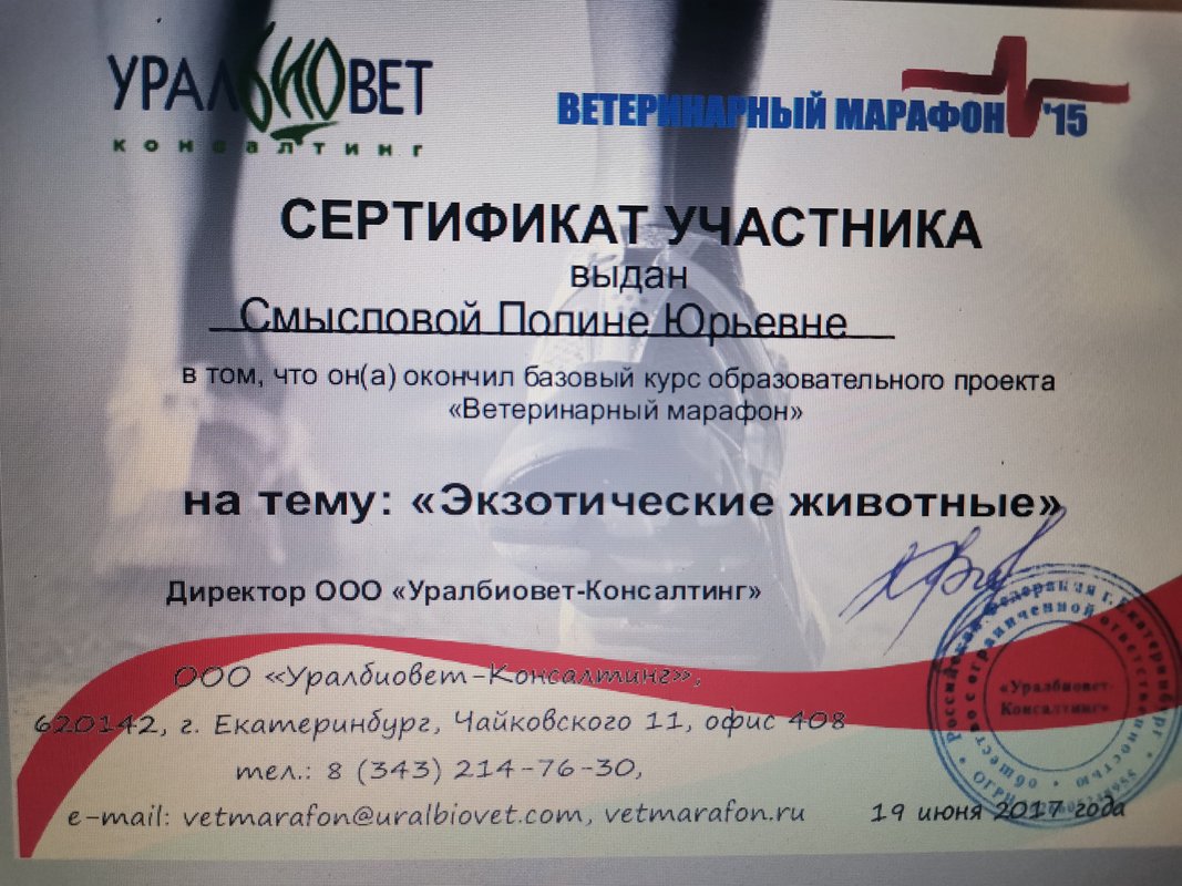 Документ или сертификат