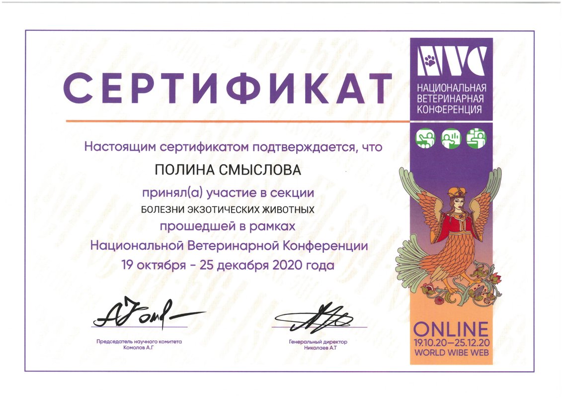 Документ или сертификат