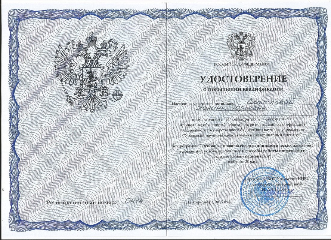 Документ или сертификат
