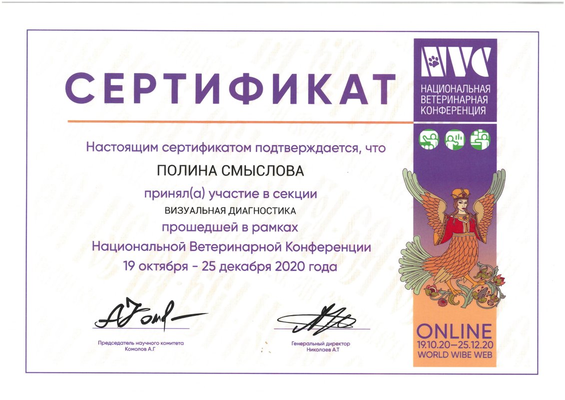 Документ или сертификат