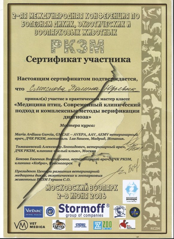 Документ или сертификат