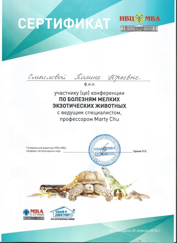 Документ или сертификат