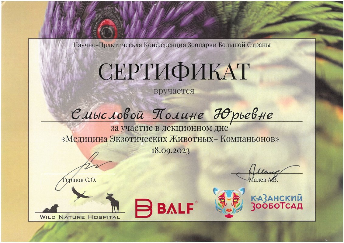 Документ или сертификат