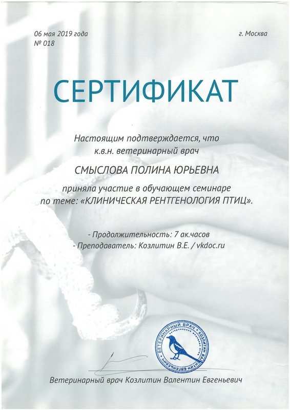 Документ или сертификат