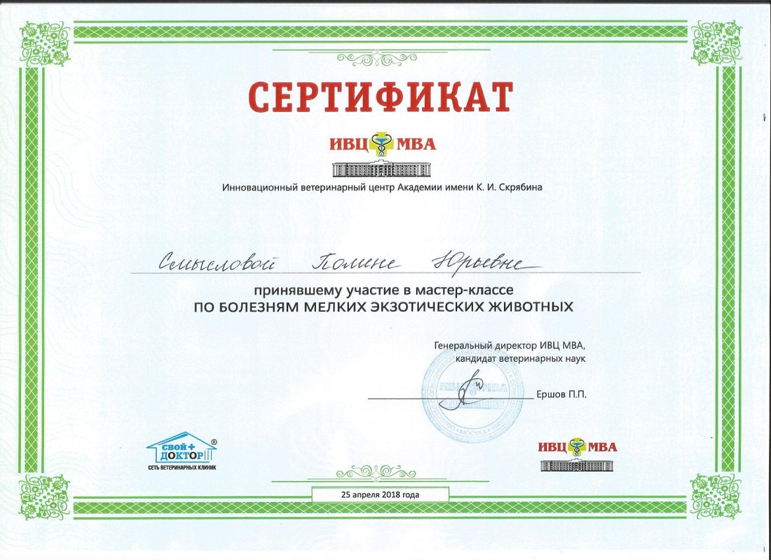 Документ или сертификат