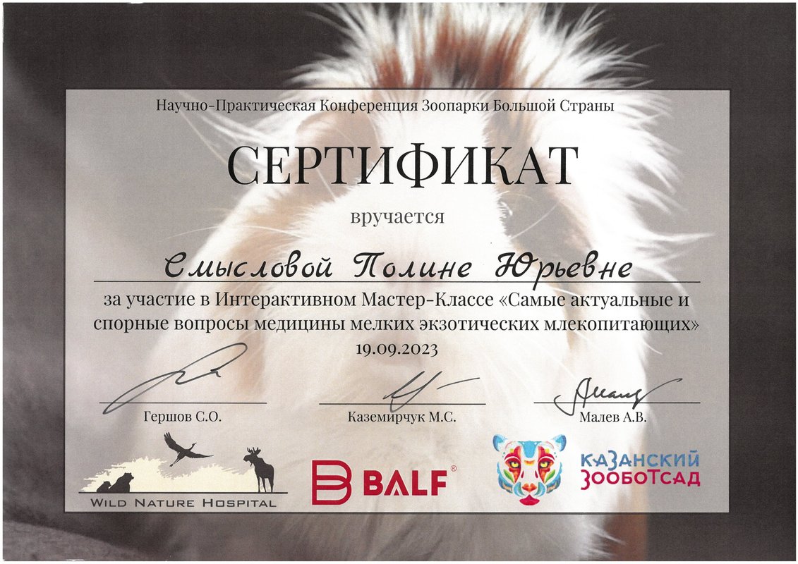 Документ или сертификат