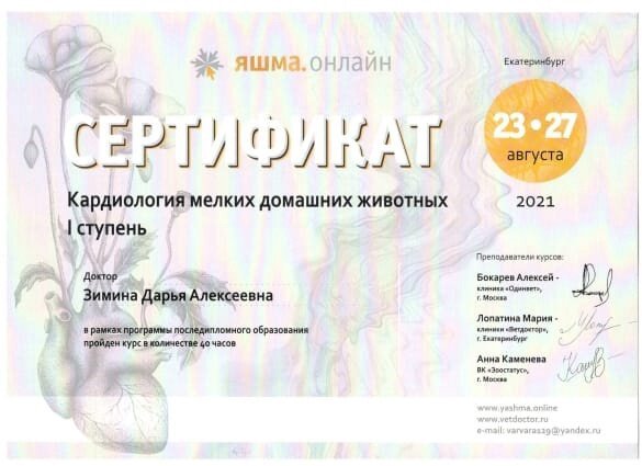 Документ или сертификат