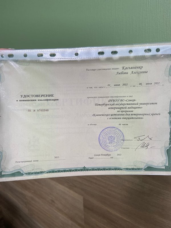 Документ или сертификат