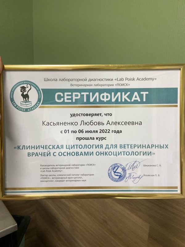Документ или сертификат