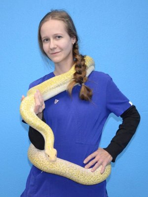 Фото врача Кривенченко Ксения Сергеевна