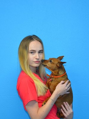 Фото врача Титова Дарья Дмитриевна