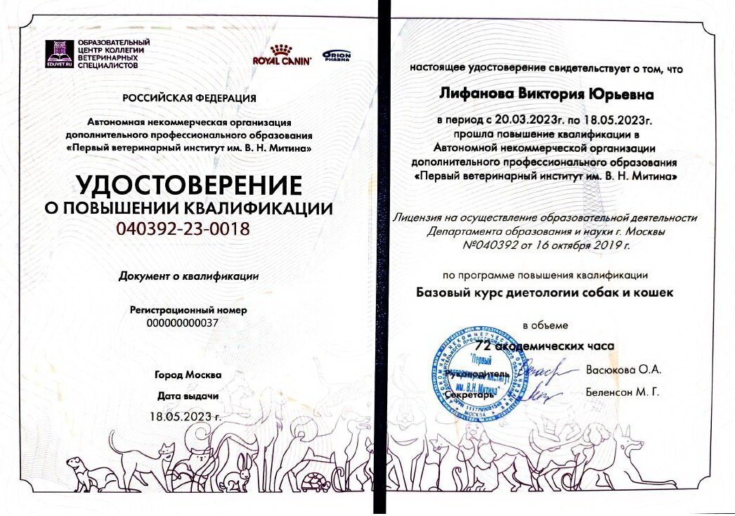 Документ или сертификат