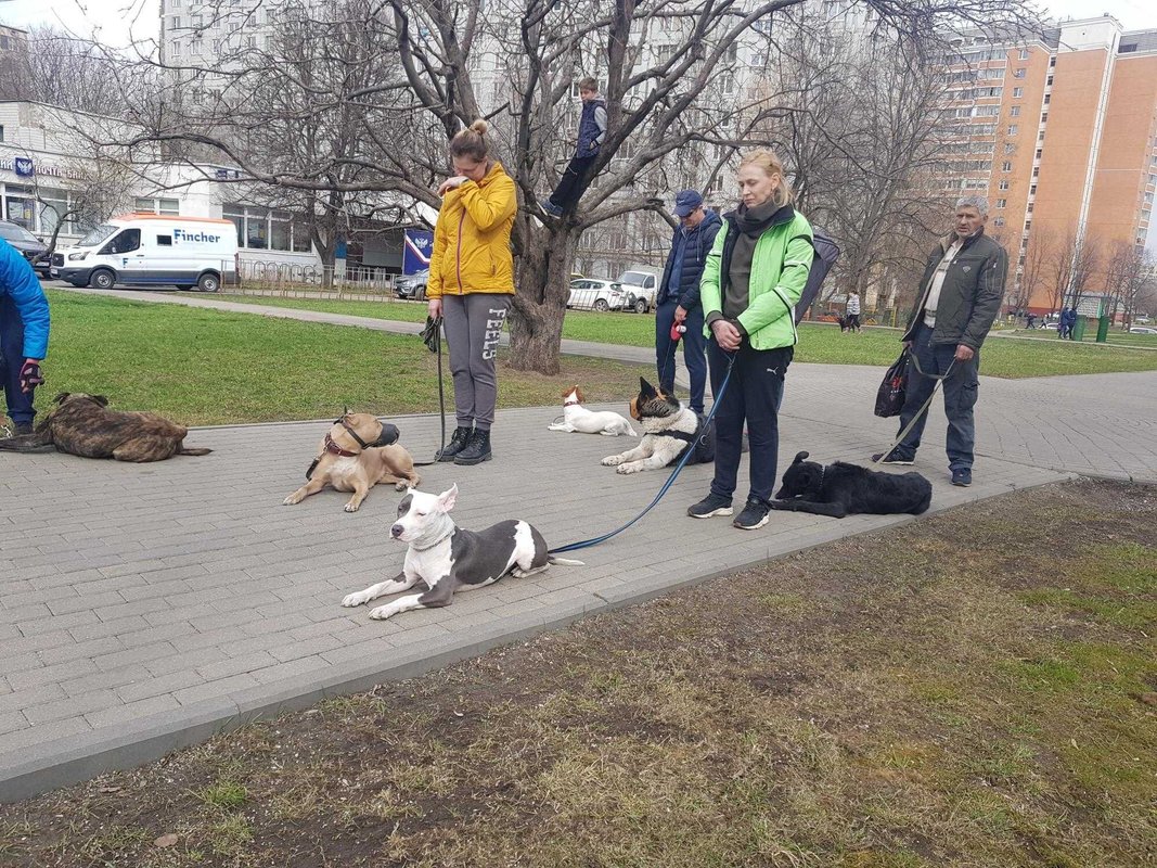 Фото врача
