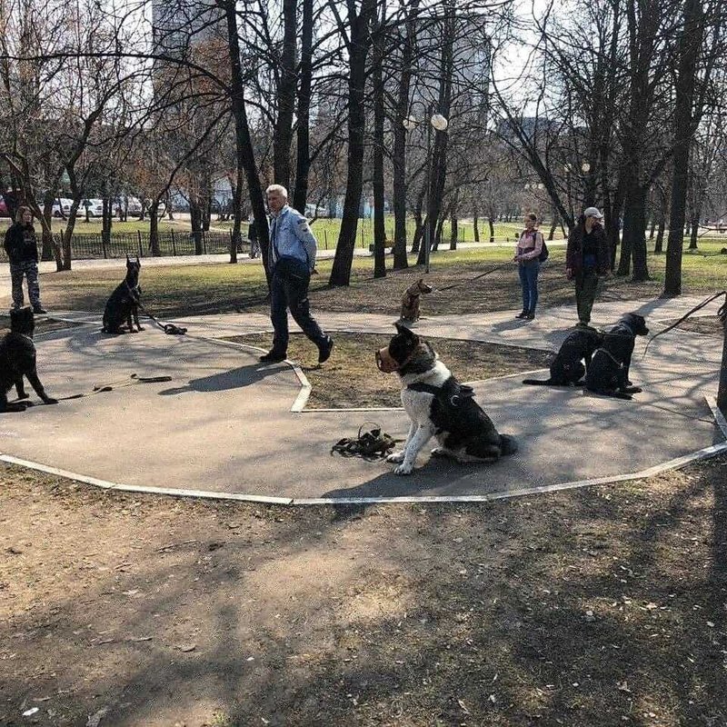 Фото врача