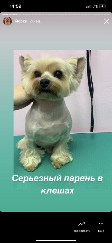 Фото врача