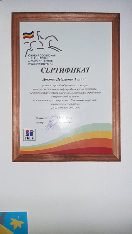 Документ или сертификат