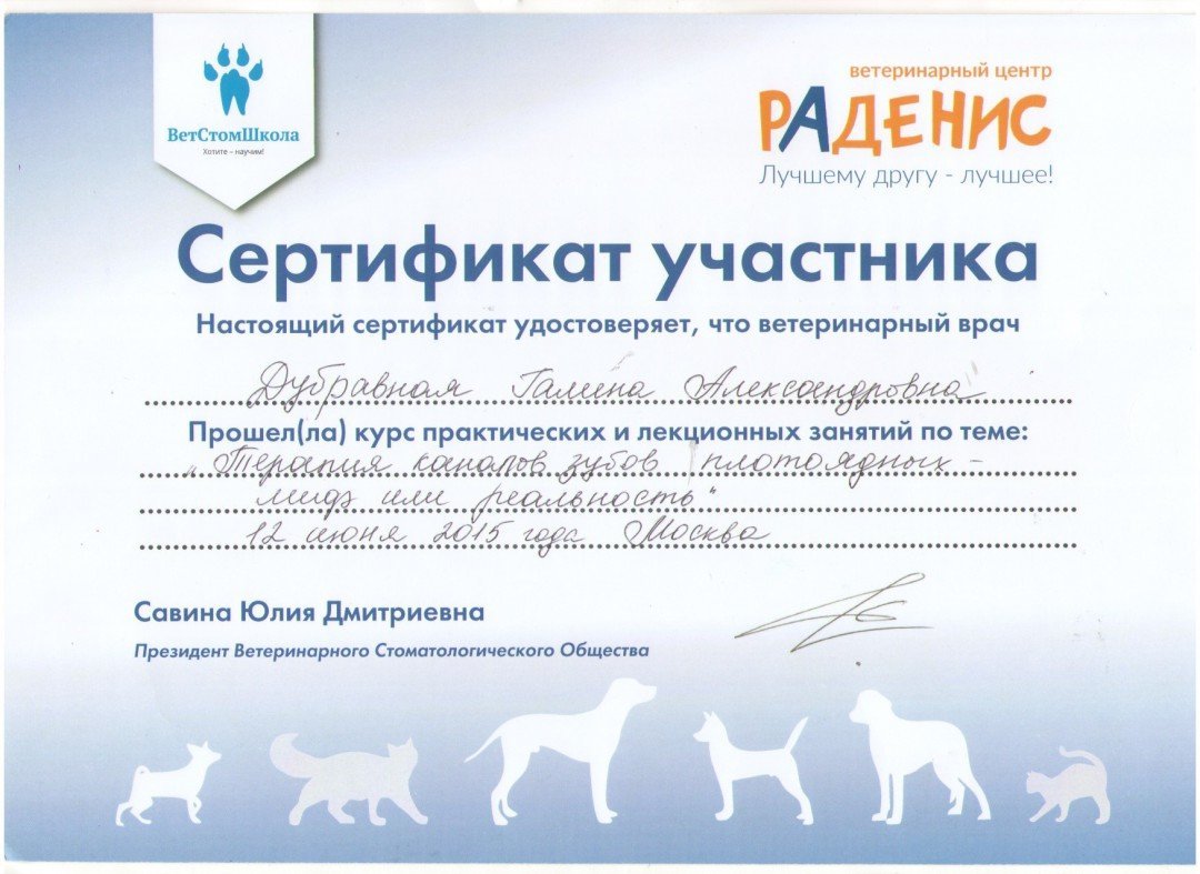 Документ или сертификат
