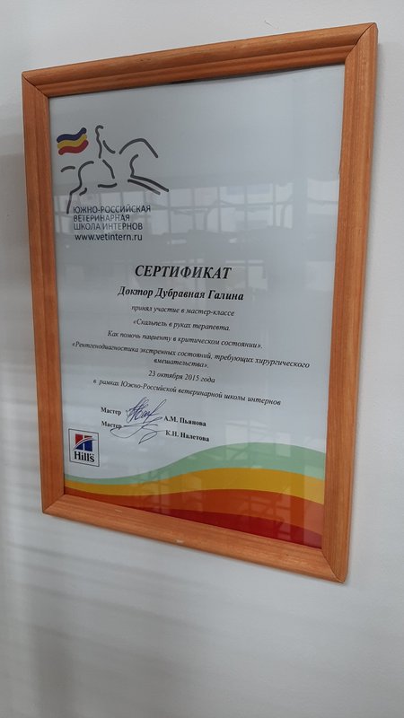 Документ или сертификат