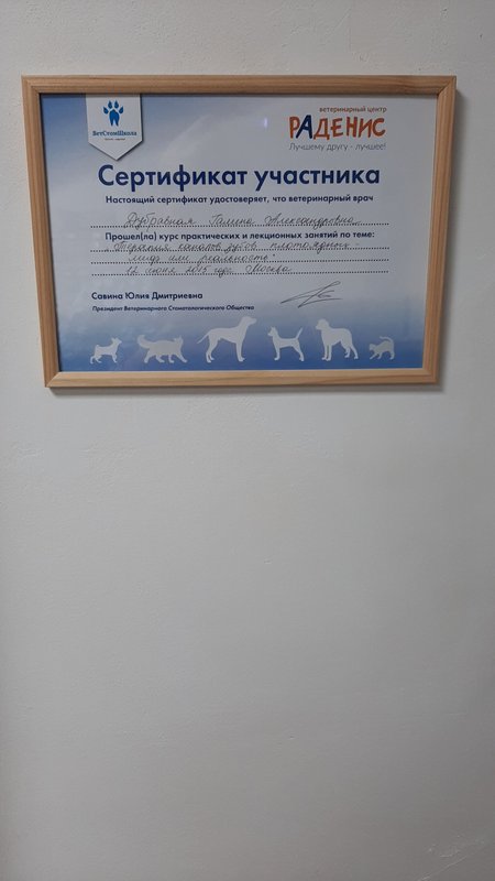 Документ или сертификат