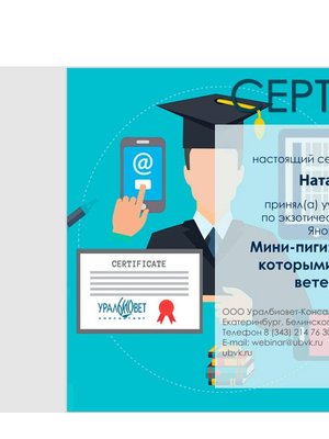 Фото врача Пискарева Наталия Александровна