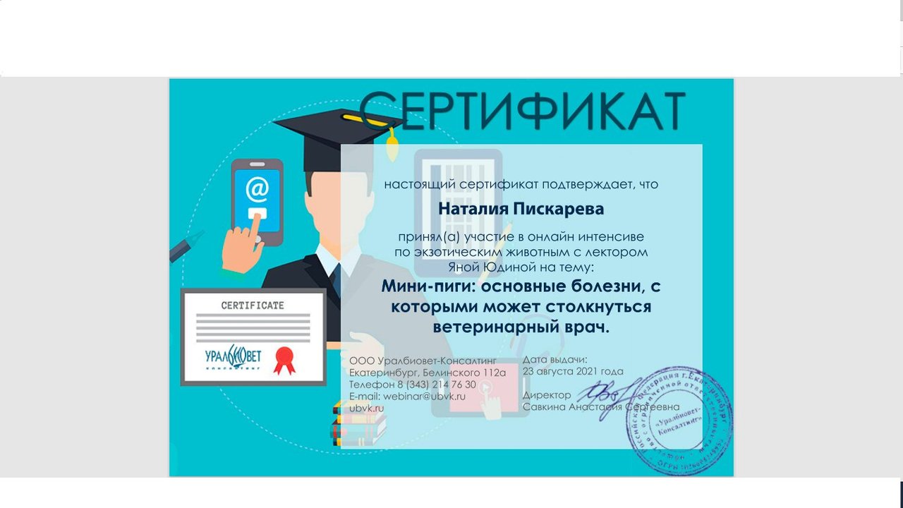 Документ или сертификат
