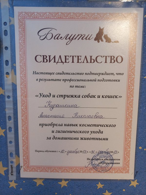 Документ или сертификат