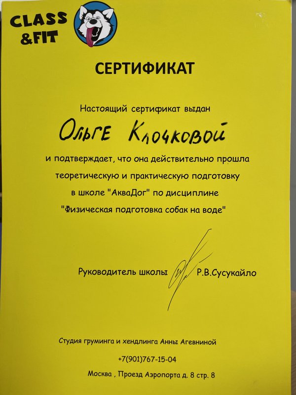 Документ или сертификат