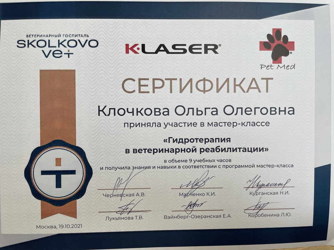 Документ или сертификат