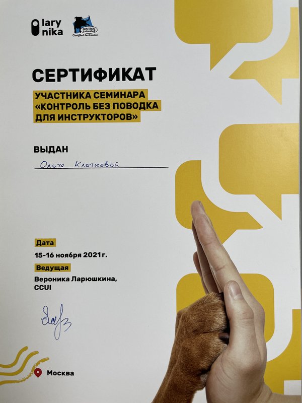 Документ или сертификат