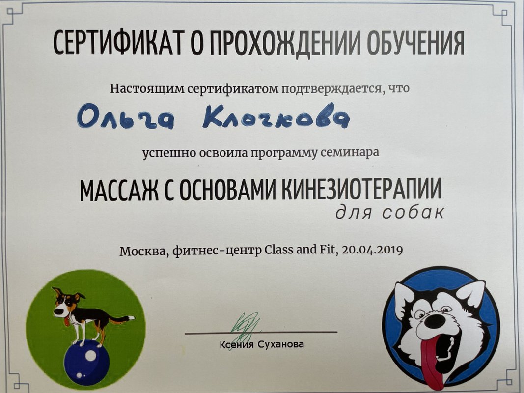 Документ или сертификат