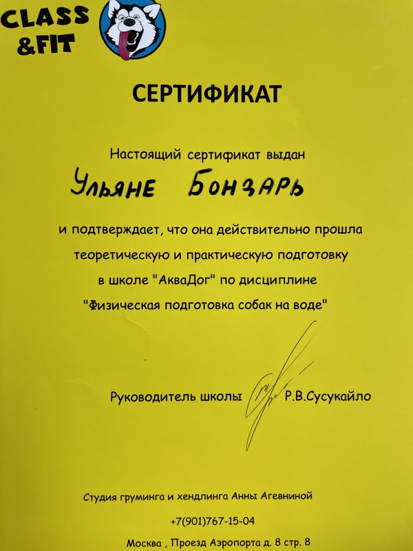 Документ или сертификат