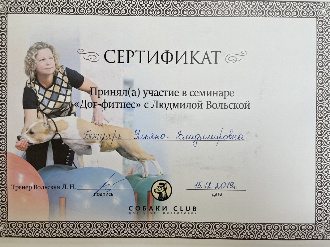 Документ или сертификат