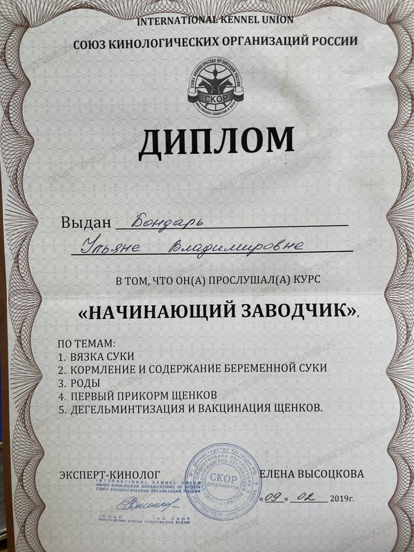 Документ или сертификат