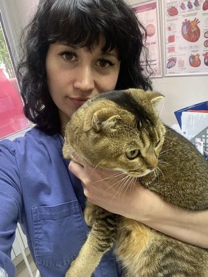 Фото врача Бреусова Татьяна Борисовна