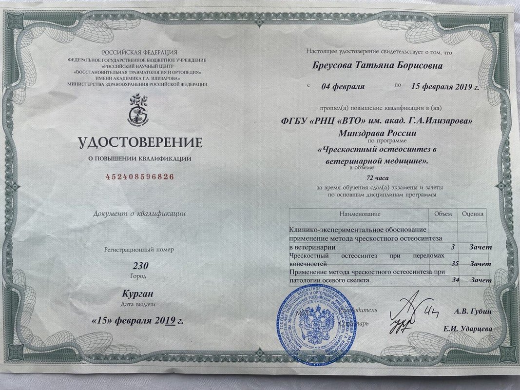 Документ или сертификат