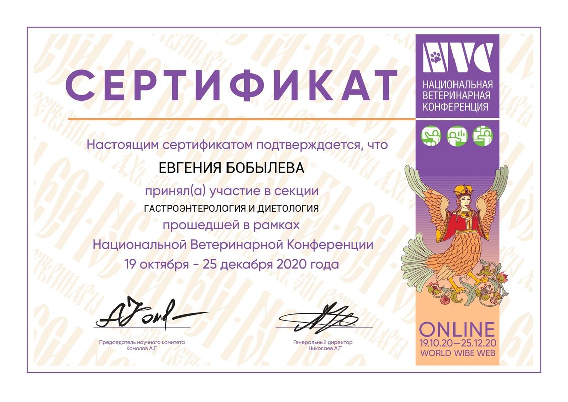 Документ или сертификат