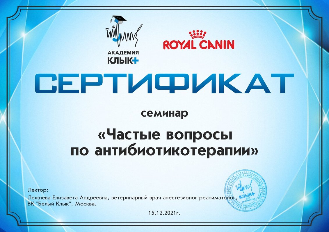 Документ или сертификат