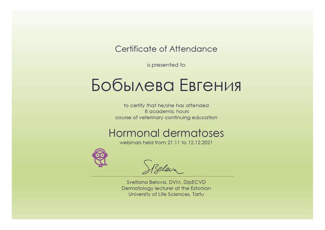Документ или сертификат