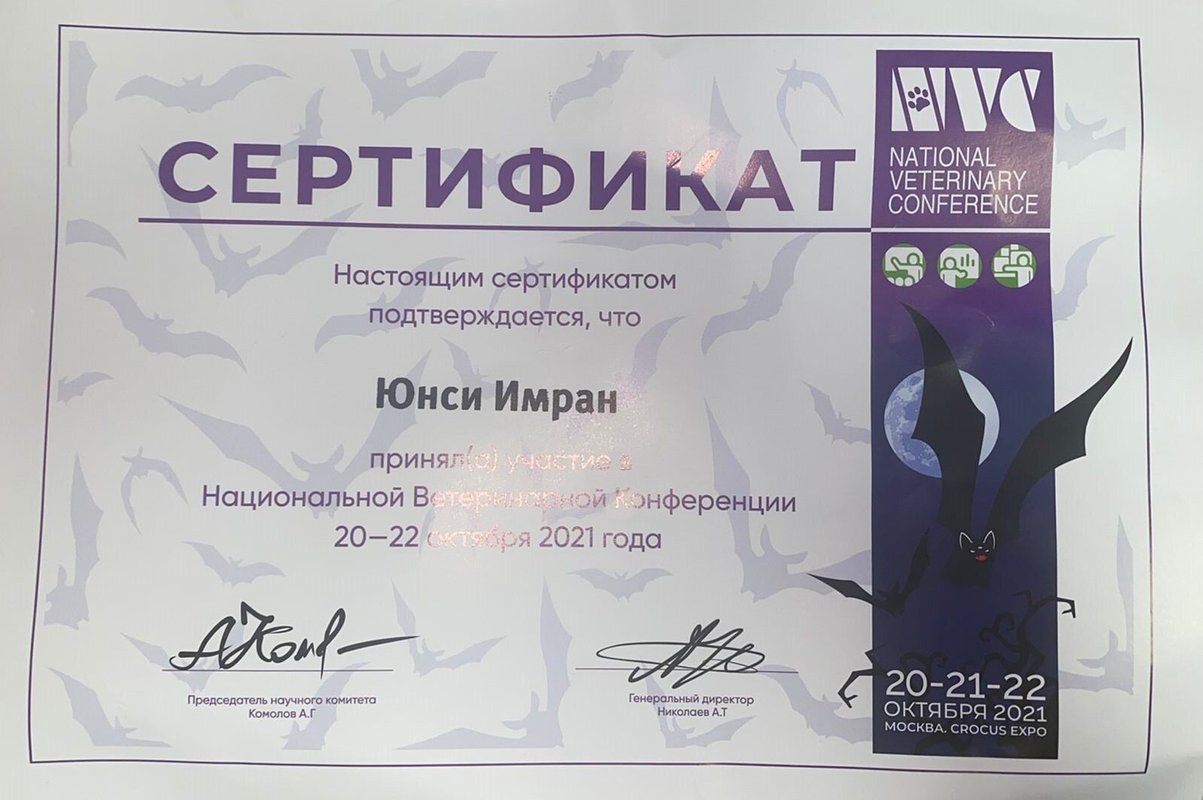 Документ или сертификат